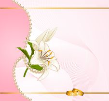Two Wedding Rings Royalty Free Stock Photos Two Wedding Rings Royalty Free Stock Photos