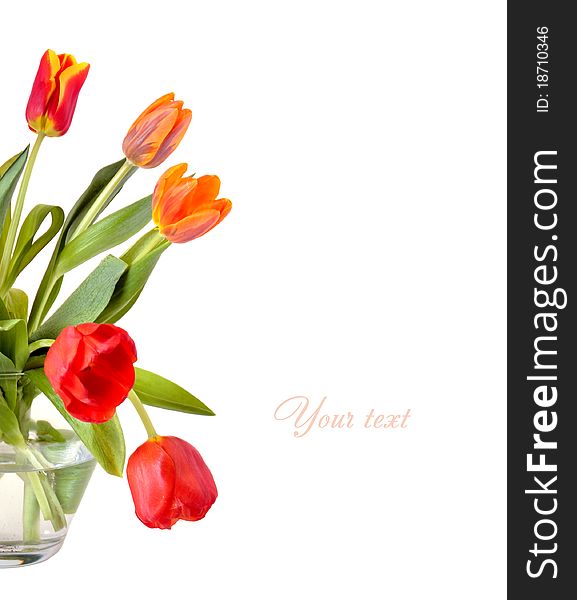 Bouquet of red tulips on the cover of postcards. Bouquet of red tulips on the cover of postcards