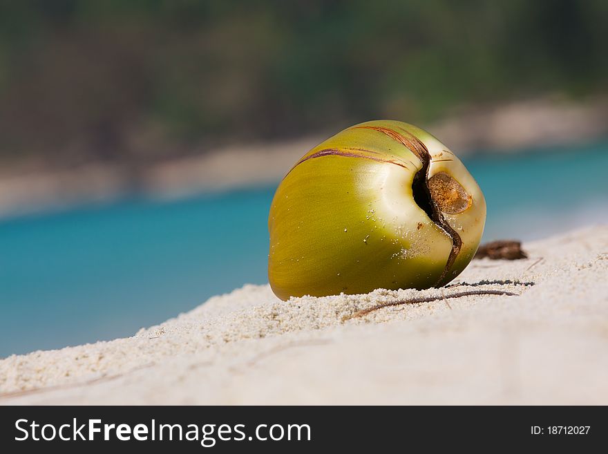 Fallen coconut is broken up by the Pacific Ocean in the background of the beautiful blue ocean. Fallen coconut is broken up by the Pacific Ocean in the background of the beautiful blue ocean