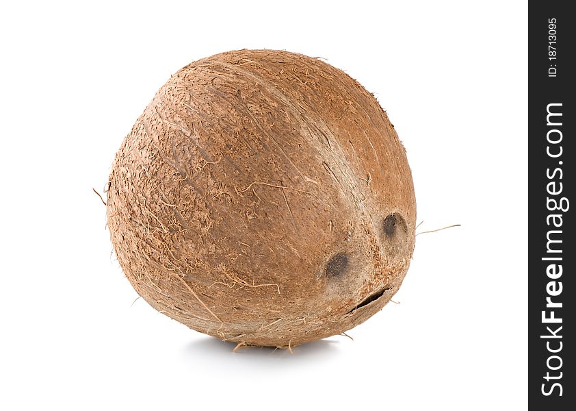 Ripe Coconut Isolated