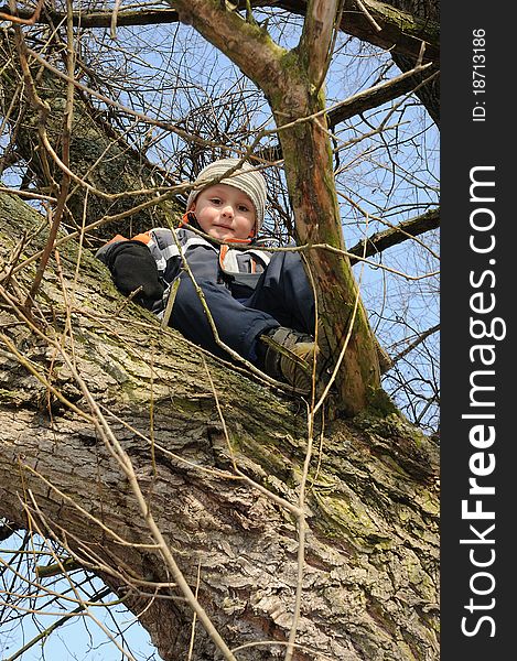 Young boy sitting on a thick tree branch and looking down. Young boy sitting on a thick tree branch and looking down