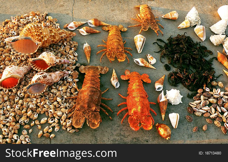 Lobsters and shells