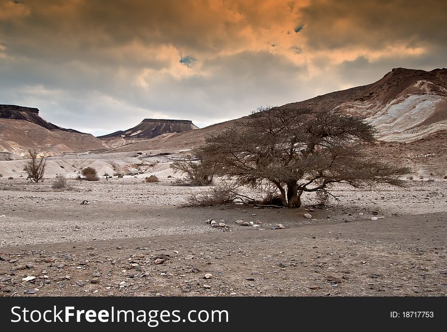 This shot was taken in desert of Negev, Israel. This shot was taken in desert of Negev, Israel