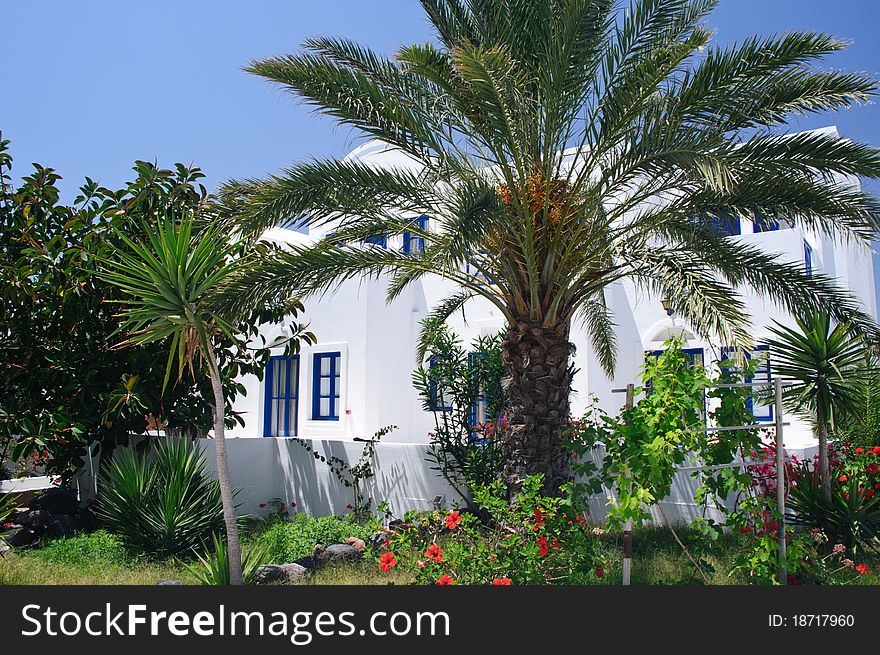 White Villa in Greece with a Palm