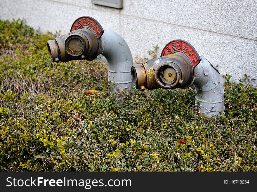 Two korean fire hydrants in grass