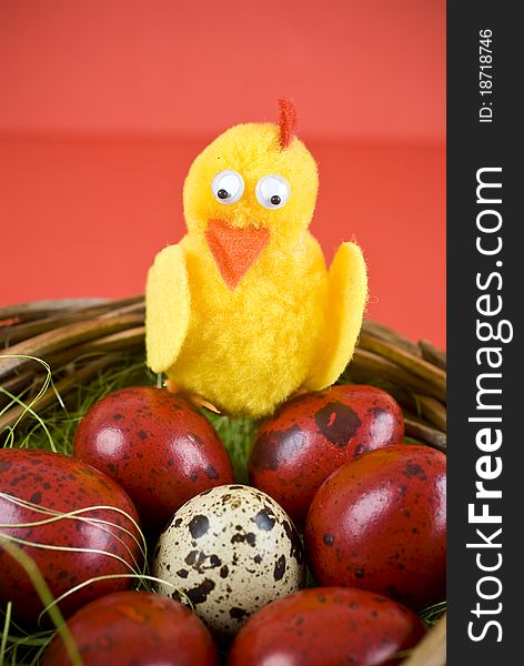 Easter eggs and chicken on red background