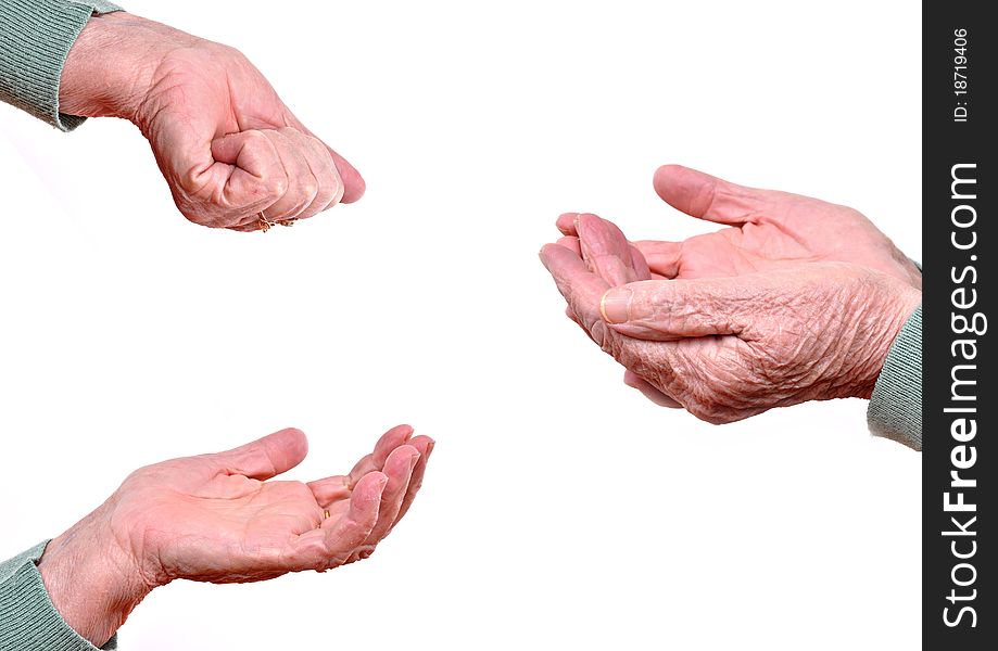 Senior Woman S Hand