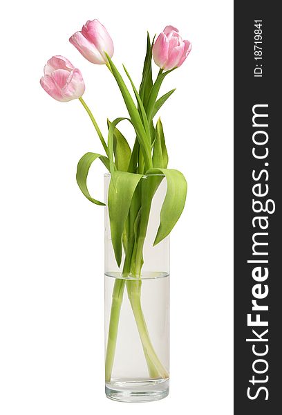 Bouquet of tulips and in vase isolated on white. Bouquet of tulips and in vase isolated on white