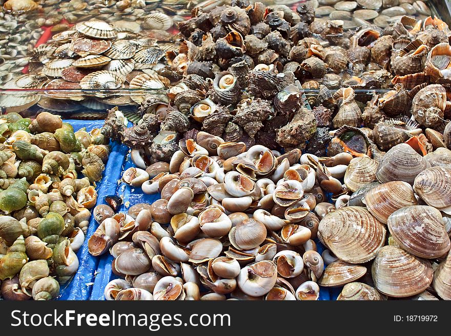 Selection Of Shells At Seafood Market