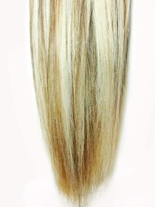 Highlight Shiny Hair Royalty Free Stock Photo