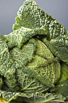 Savoy Cabbage Stock Photos Savoy Cabbage Stock Photos