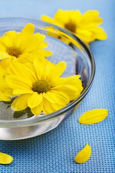 Yellow Flowers In Glass Bowl Stock Photos