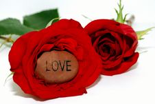 Love Stone Inside A Rose Stock Images Love Stone Inside A Rose Stock Images