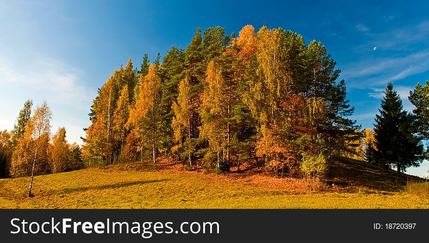 Autumn landscape in the forest with blue sky and the moon