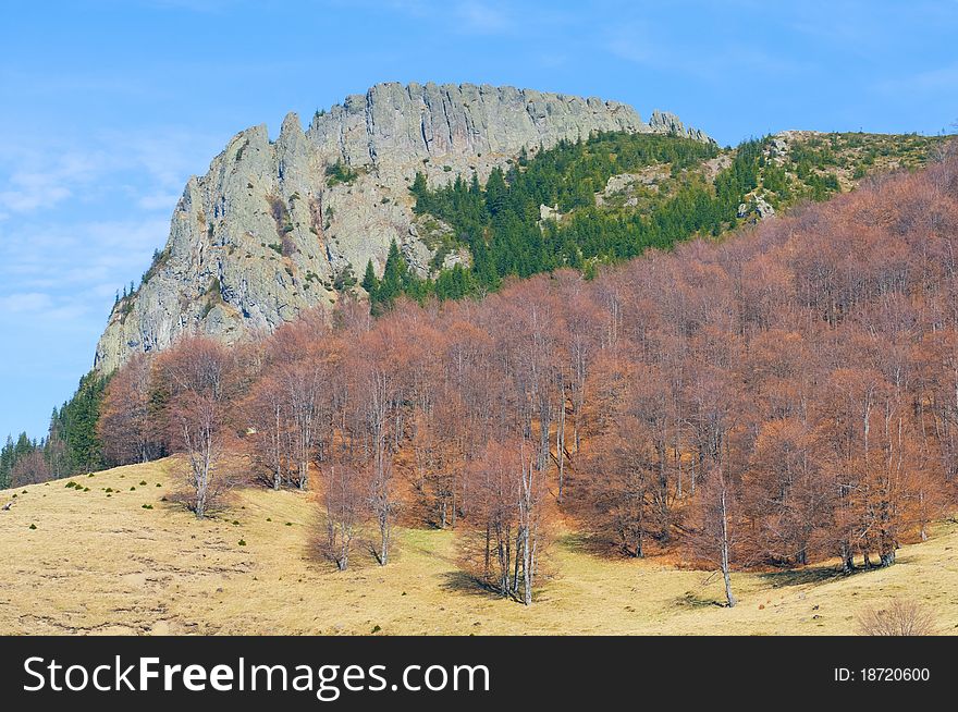 Landscape of stone cliff and brown forest. Landscape of stone cliff and brown forest.