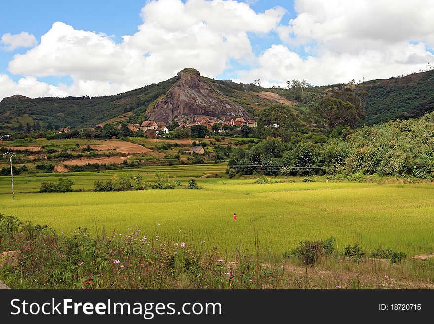 Countryside of Madagascar, with agricultural village by a rock mountain & rice fields in foreground. Countryside of Madagascar, with agricultural village by a rock mountain & rice fields in foreground.
