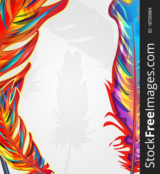 Bright vertical background with feathers. Bright vertical background with feathers