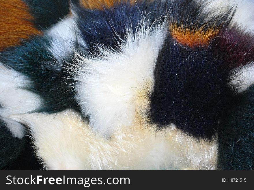 Varicolored long fur background , white, orange, green, violet
