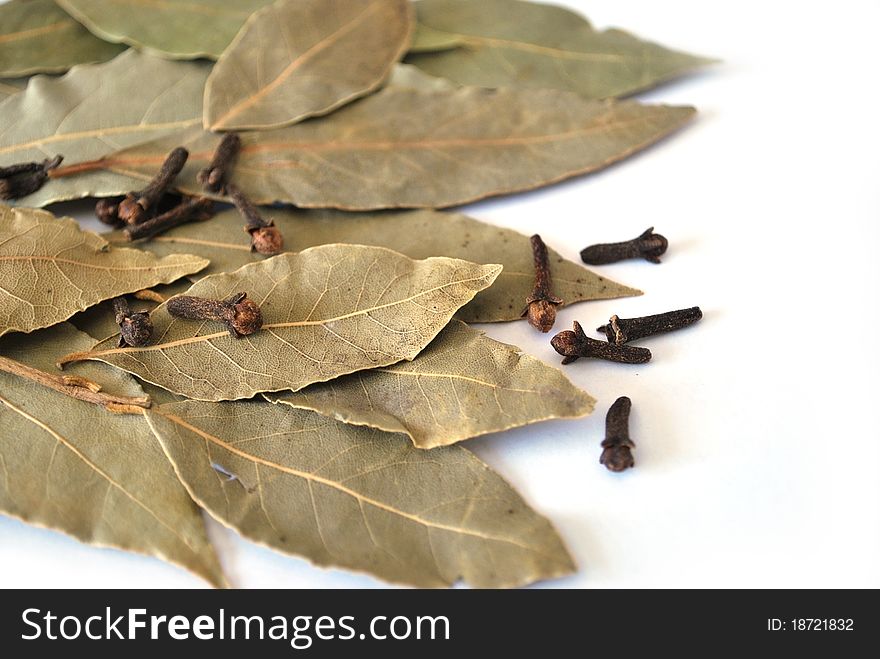 Dry bay leaf and  spice cloves on white background