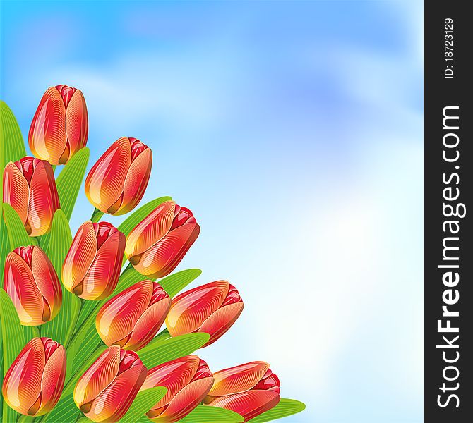 Spring background with blue sky and tulips.Clipping Mask