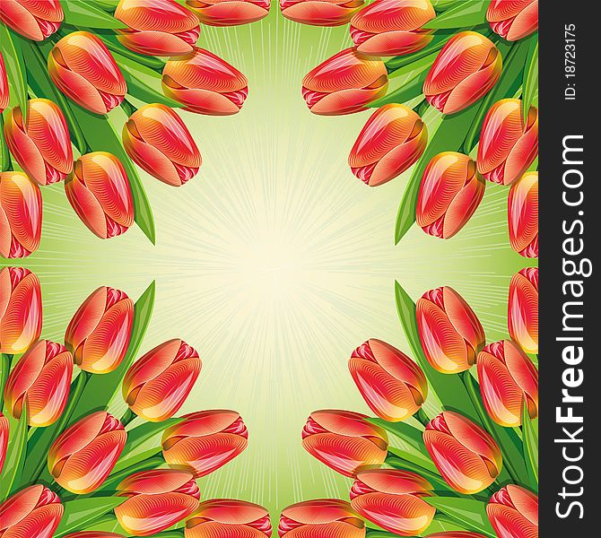 Spring green background with frame and red tulips.Clipping Mask. Spring green background with frame and red tulips.Clipping Mask