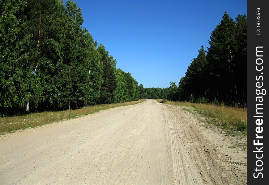 There are trees, forest and road
