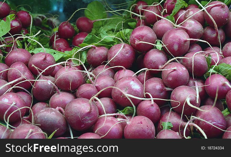 Pile of red radishes in bin at farmers market. Pile of red radishes in bin at farmers market