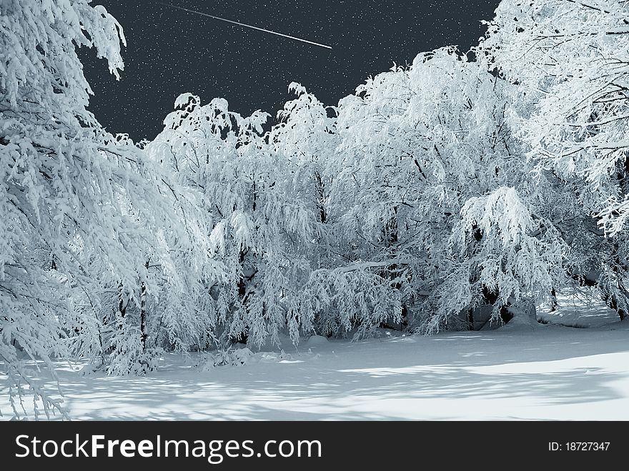 Falling star on the snowy forest. Falling star on the snowy forest