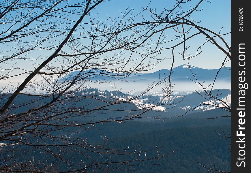 Panorama of mountains with branches in the foreground