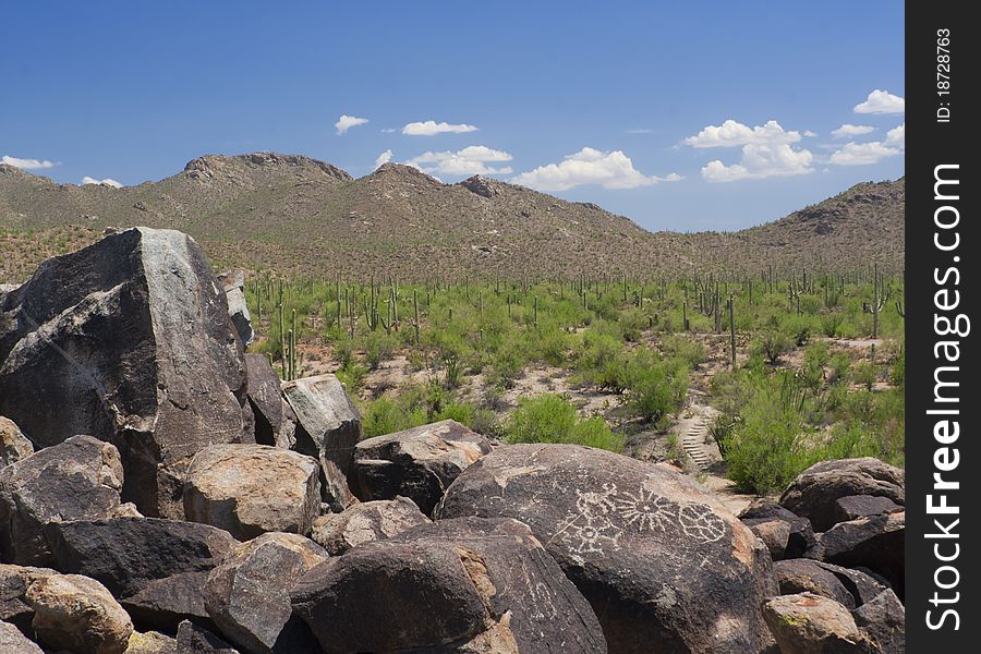 Indian petroglyphs and saguaros, Arizona. Indian petroglyphs and saguaros, Arizona