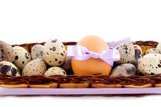 Quail And Chicken Eggs Royalty Free Stock Photo Quail And Chicken Eggs Royalty Free Stock Photo