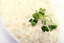 Oatmeal With Milk Stock Images Oatmeal With Milk Stock Images