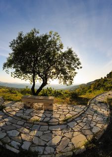 Stone Bench And Tree Royalty Free Stock Image Stone Bench And Tree Royalty Free Stock Image