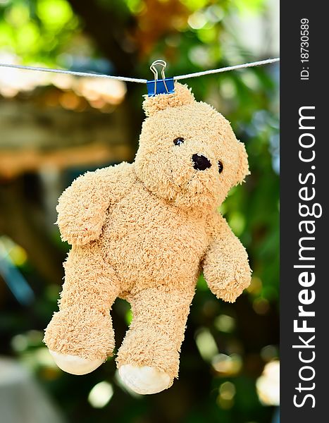 Wet teddy on a clothesline with blue clip