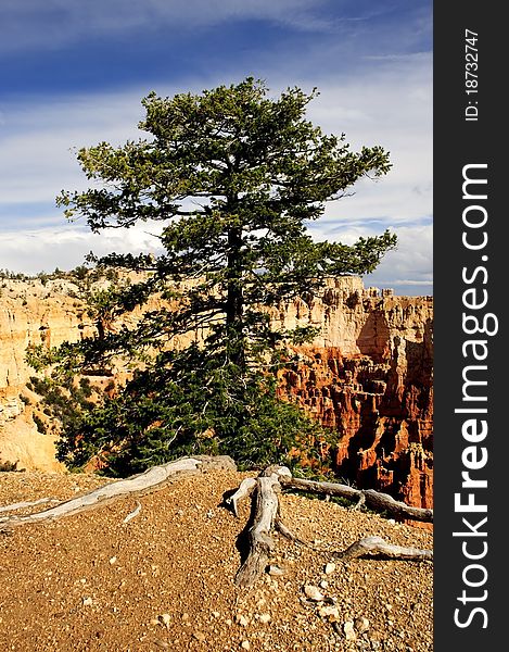 Bryce Canyon National Park in Utah.