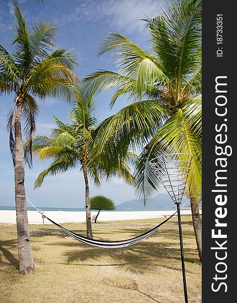 Tropical beach view with palm trees and hammock