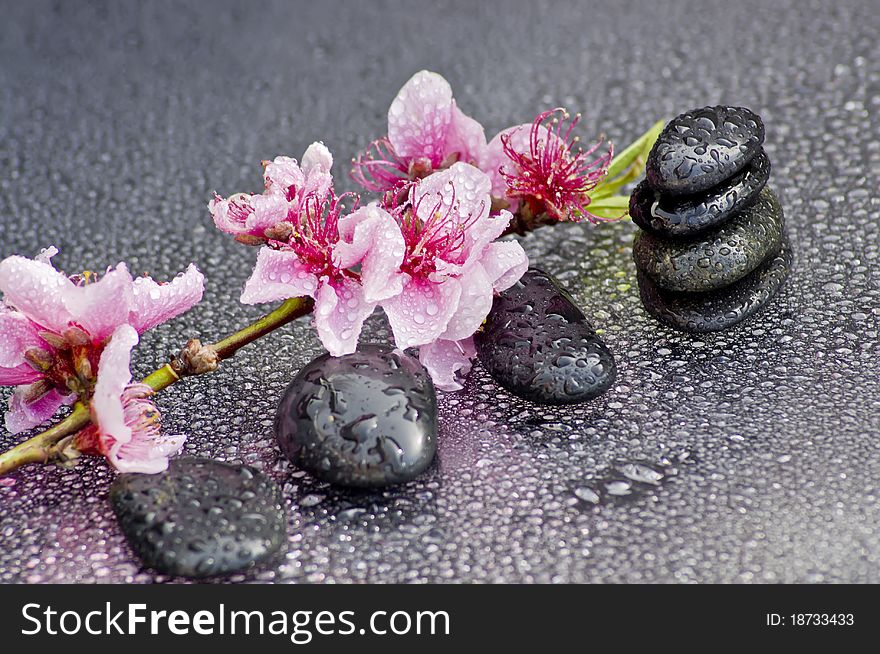 Zen stones with flowers and some water drops