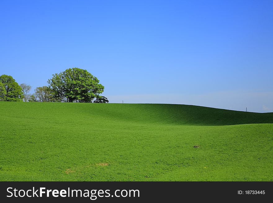 Green  field in countryside, Latvia. Green  field in countryside, Latvia.