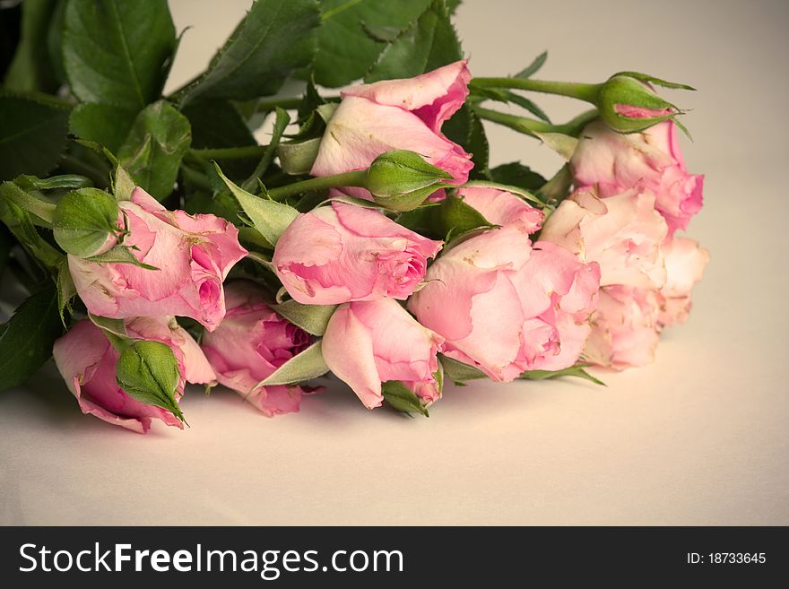 Shabby Chic Roses. Vintage roses