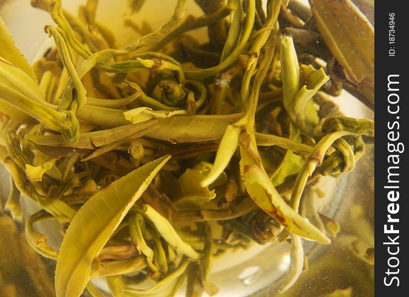 Closeup picture of white tea leaves in glass cup