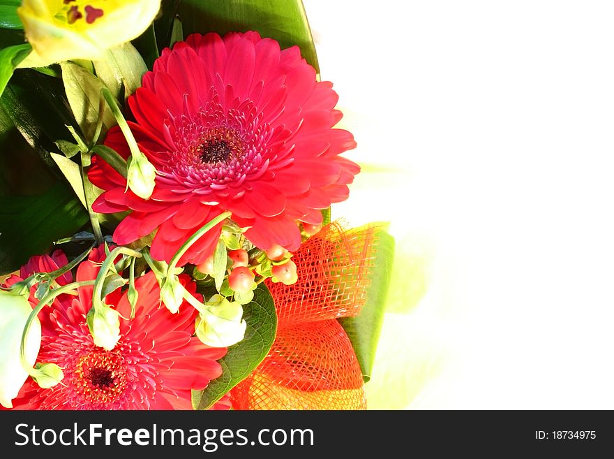 Bunch of flowers on left border background. Bunch of flowers on left border background