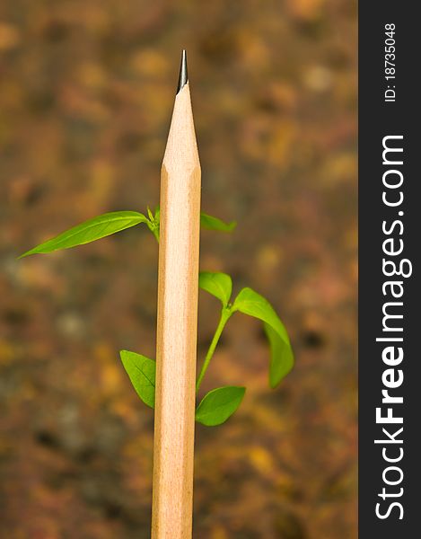 Planting pencil with green leaves. Planting pencil with green leaves