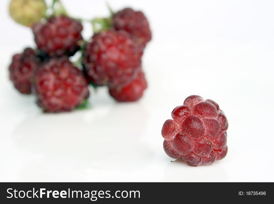 Berries of raspberry on white close