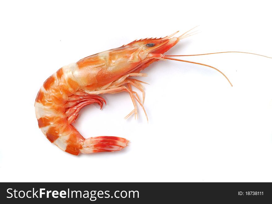 Shrimp ~ a single cooked king prawn, isolated on white with soft shadow.