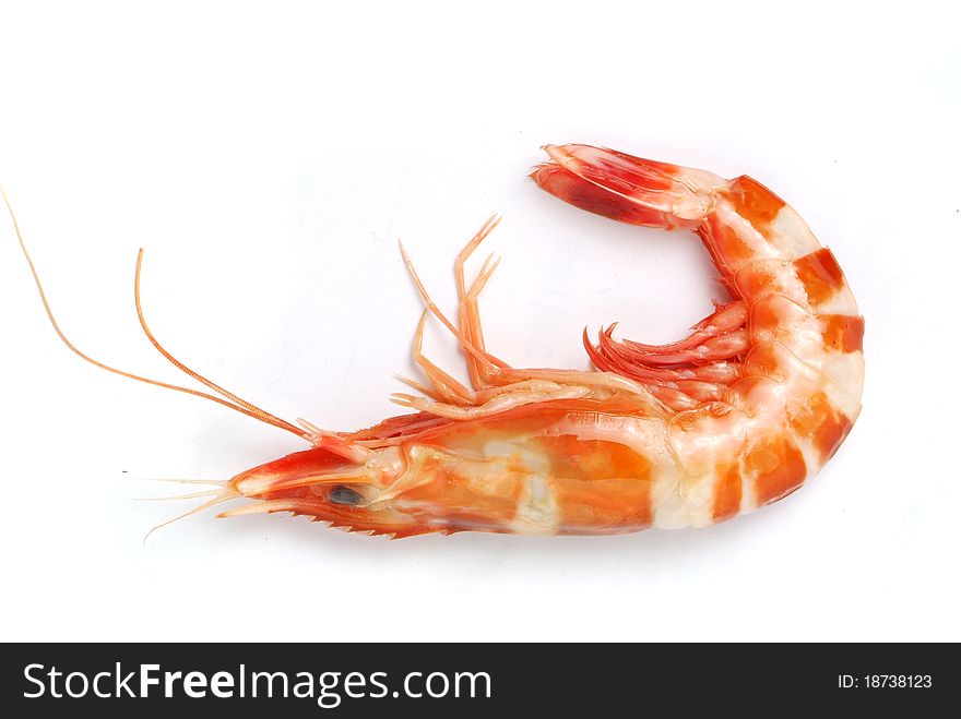 Shrimp ~ a single cooked king prawn, isolated on white with soft shadow.