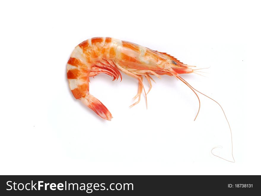 Shrimp ~ a single cooked king prawn, isolated on white with soft shadow.