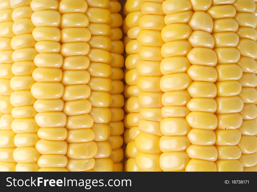 Freshly harvested corn, close up.