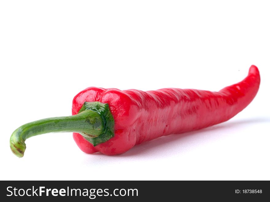 Red hot chili on white background. Red hot chili on white background