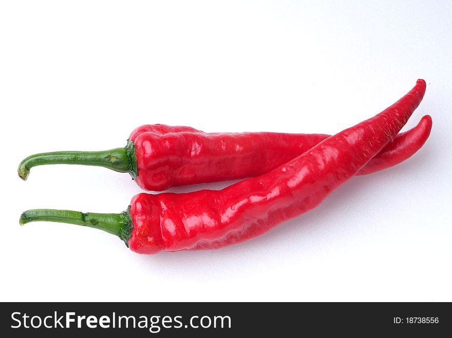 Red hot chili on white background. Red hot chili on white background