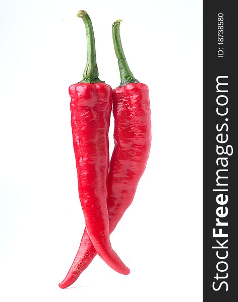 Red hot chili on white background. Red hot chili on white background